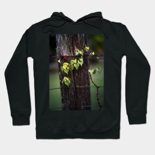 Fence Hoodie